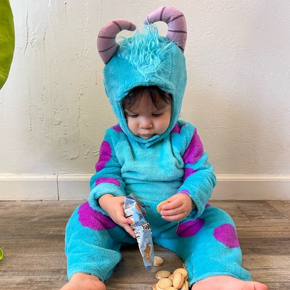 Monsters Inc Sulley costume 2T - Picture 1 of 8
